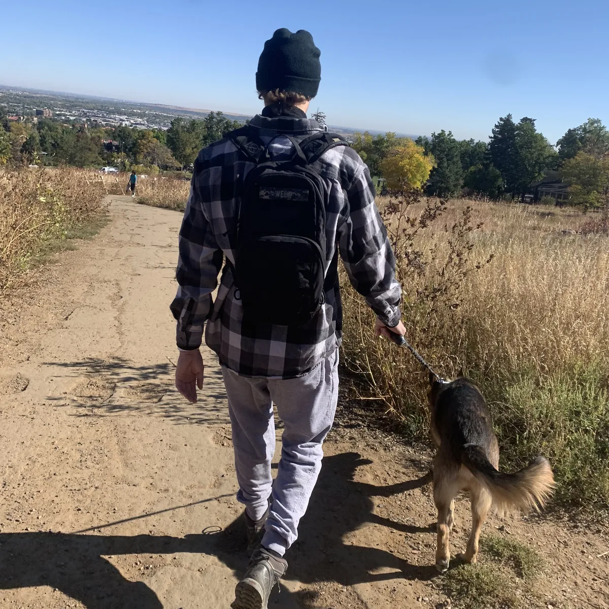 Hiking trail with German shepherd